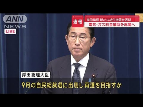 再)【補助金】岸田総理　電気・ガス料金への補助金「8月から3か月間」復活表明